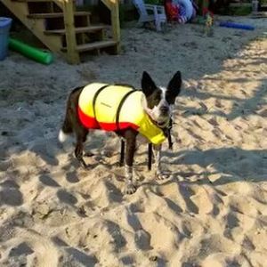 Meet your Posher, Anne